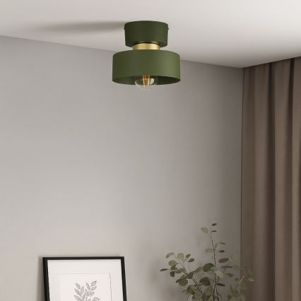 Deckenleuchte IGNIA 1xE27/60W/230V grün