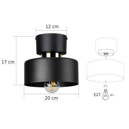 Deckenleuchte IGNIA 1xE27/60W/230V schwarz