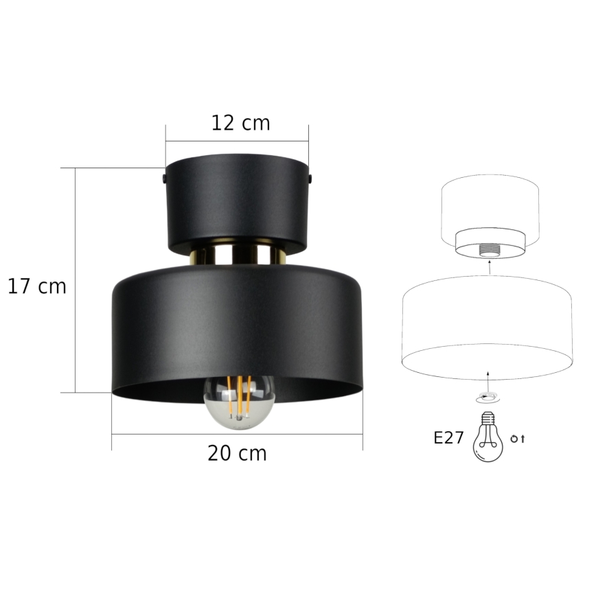 Deckenleuchte IGNIA 1xE27/60W/230V schwarz