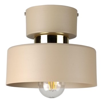Deckenleuchte IGNIA 1xE27/60W/230V taupe