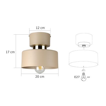 Deckenleuchte IGNIA 1xE27/60W/230V taupe