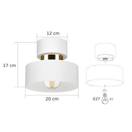 Deckenleuchte IGNIA 1xE27/60W/230V weiß