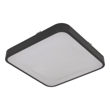 Deckenleuchte mit Sensor WILTON, 2xE27/60W/230V, 33x33 cm, Anthrazit