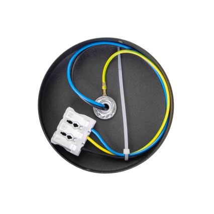 Deckenleuchte MOONLIGHT 1xE27/15W/230V Ø 16 cm schwarz