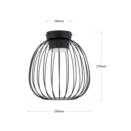 Deckenleuchte OVELLA 1xGX53/10W/230V, Ø 25 cm, schwarz