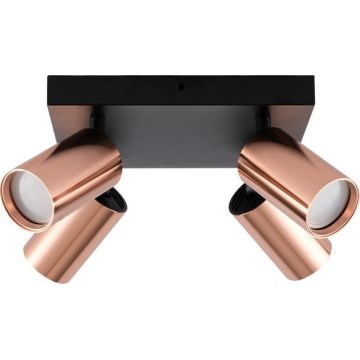 Deckenspot PUNTO 4xGU10/9W/230V Roségold