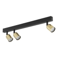 Deckenspot TOP 3xGU10/10W/230V schwarz/gold
