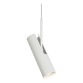 DFTP by Nordlux - Pendelleuchte an Kabel MIB 1xGU10/8W/230V weiß