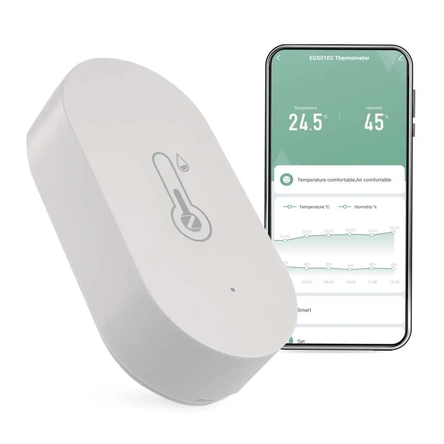Digitales kabelloses Thermometer GoSmart 1×CR2032