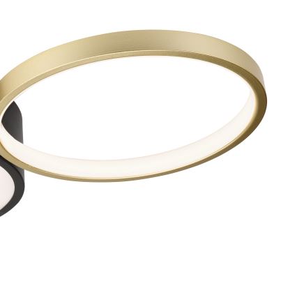 Dimmbare Deckenleuchte ALIZEE LED/30W/230V 3000-6500K schwarz/golden