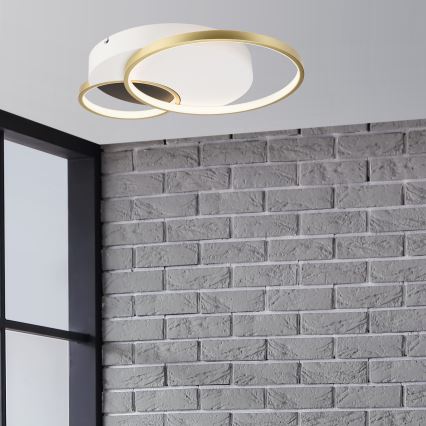 Dimmbare Deckenleuchte BENITO LED/31W/230V 3000-6500K weiß/golden