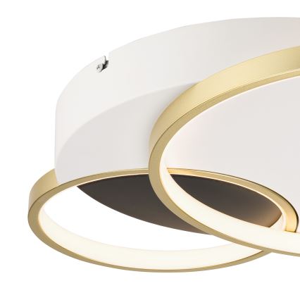 Dimmbare Deckenleuchte BENITO LED/31W/230V 3000-6500K weiß/golden