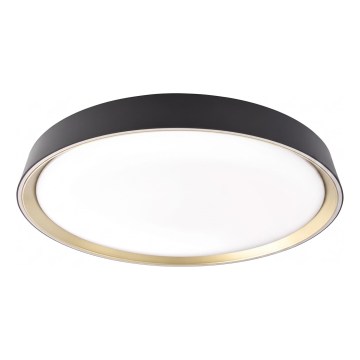 Dimmbare Deckenleuchte ILVI LED/45 W/230 V 2700–6500 K Ø 50 cm schwarz/messing + Fernbedienung