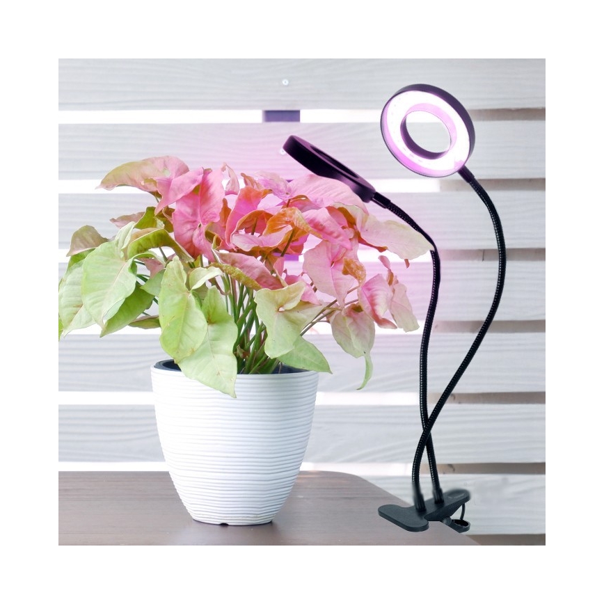 Dimmbare flexible LED-Tischleuchte mit Klemme für die Pflanzenzucht VITARO 2xLED/4W/230V schwarz
