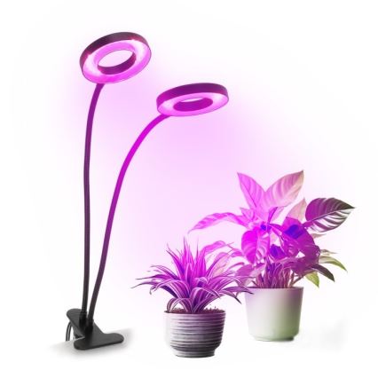 Dimmbare flexible LED-Tischleuchte mit Klemme für die Pflanzenzucht VITARO 2xLED/4W/230V schwarz