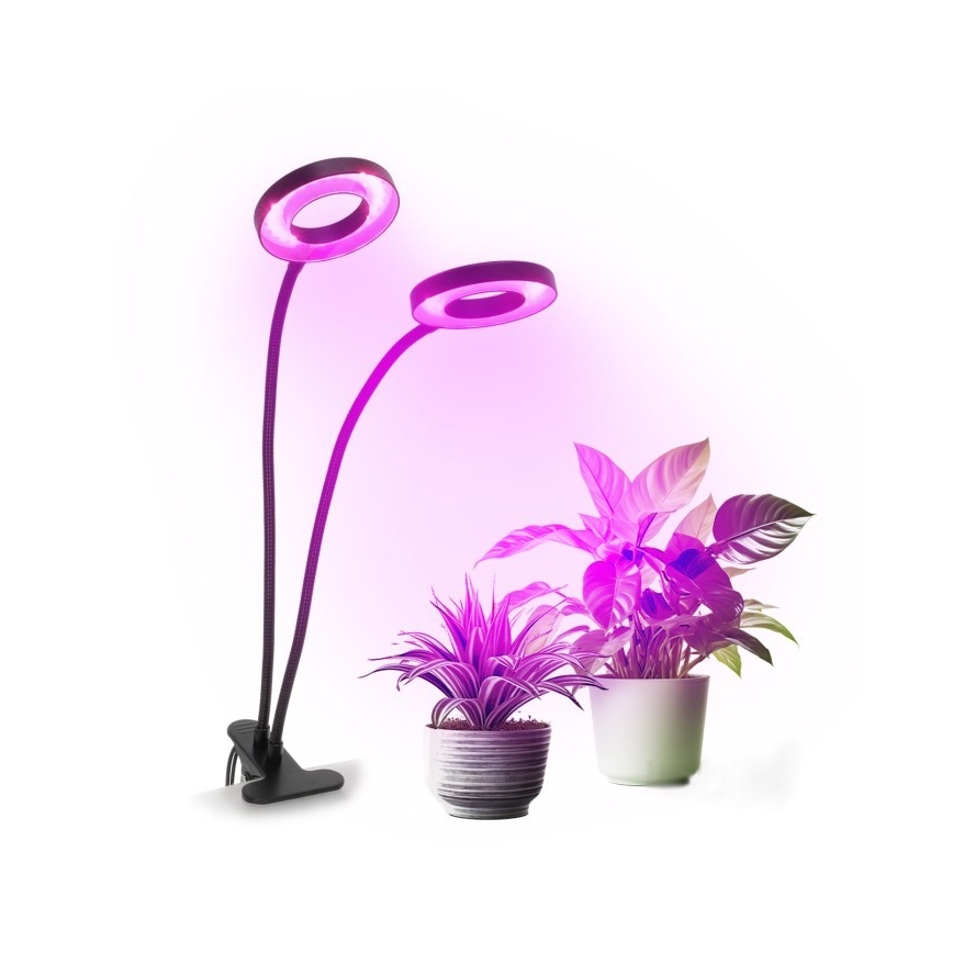 Dimmbare flexible LED-Tischleuchte mit Klemme für die Pflanzenzucht VITARO 2xLED/4W/230V schwarz