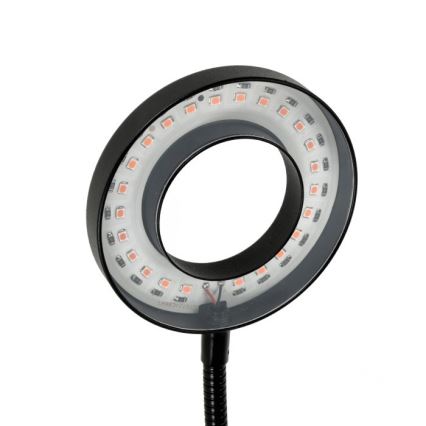 Dimmbare flexible LED-Tischleuchte mit Klemme für die Pflanzenzucht VITARO 2xLED/4W/230V schwarz