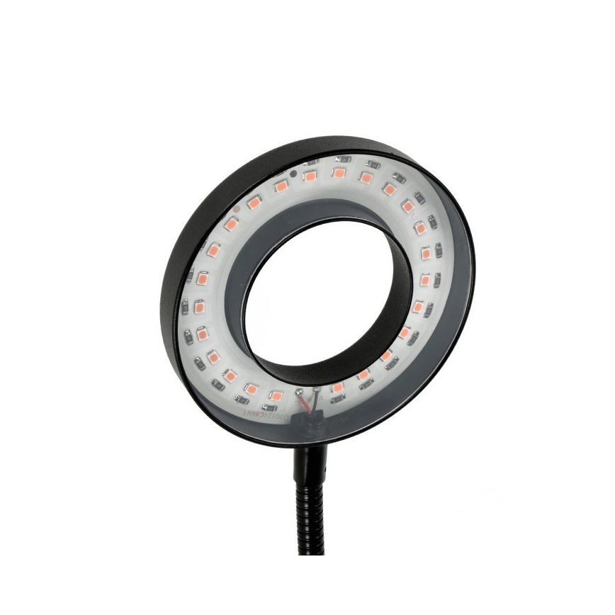 Dimmbare flexible LED-Tischleuchte mit Klemme für die Pflanzenzucht VITARO 2xLED/4W/230V schwarz