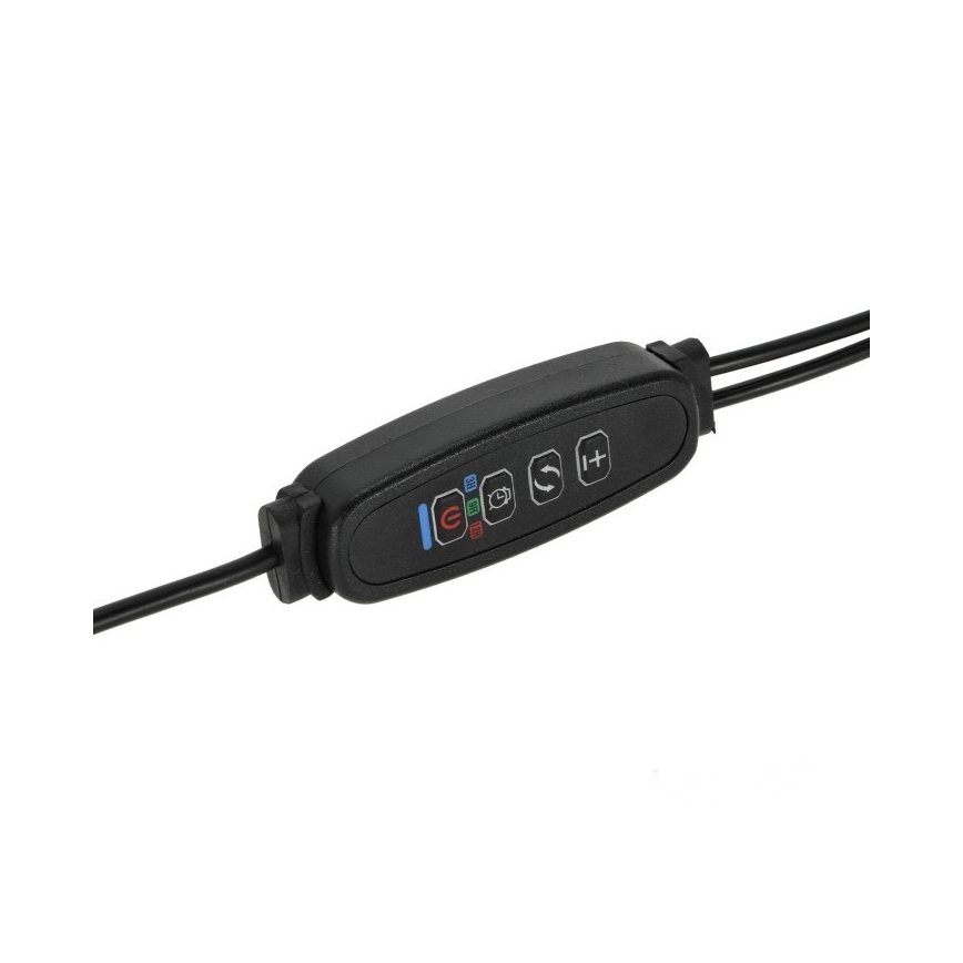 Dimmbare flexible LED-Tischleuchte mit Klemme für die Pflanzenzucht VITARO 2xLED/4W/230V schwarz