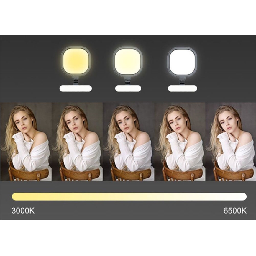 Dimmbare, flexible LED-Tischleuchte mit Touch-Funktion POINTIQ LED/15W/230V 3000-6500K CRI 96 schwarz