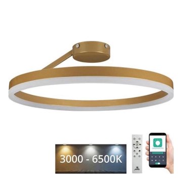 Dimmbare LED-Aufbauleuchte LED/40W/230V 3000-6500K golden + Fernbedienung