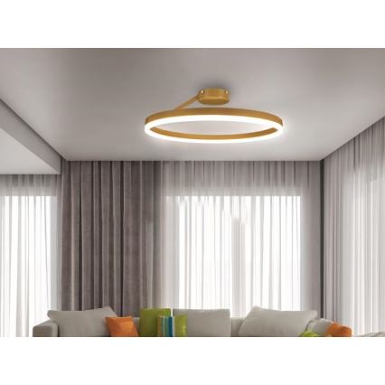 Dimmbare LED-Aufbauleuchte LED/40W/230V 3000-6500K golden + Fernbedienung