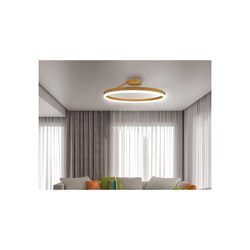 Dimmbare LED-Aufbauleuchte LED/40W/230V 3000-6500K golden + Fernbedienung
