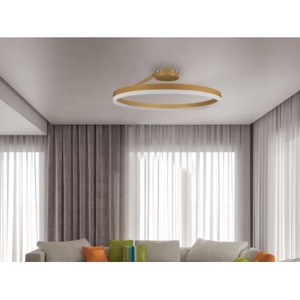Dimmbare LED-Aufbauleuchte LED/40W/230V 3000-6500K golden + Fernbedienung