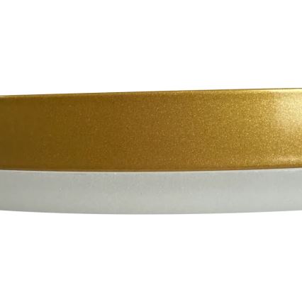 Dimmbare LED-Aufbauleuchte LED/40W/230V 3000-6500K golden + Fernbedienung