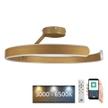 Dimmbare LED-Aufbauleuchte LED/72W/230V 3000-6500K golden + Fernbedienung