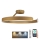 Dimmbare LED-Aufbauleuchte LED/72W/230V 3000-6500K golden + Fernbedienung