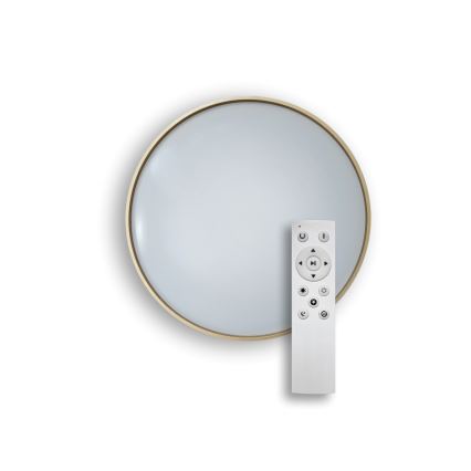 Dimmbare LED-Deckenleuchte DRINA LED/36W/230V 2700-6500K d 50 cm + Fernbedienung