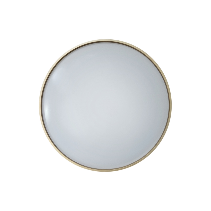 Dimmbare LED-Deckenleuchte DRINA LED/36W/230V 2700-6500K d 50 cm + Fernbedienung