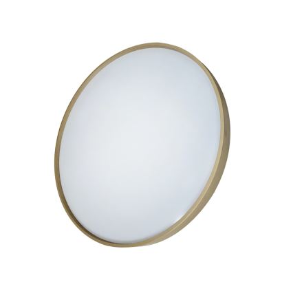 Dimmbare LED-Deckenleuchte DRINA LED/36W/230V 2700-6500K d 50 cm + Fernbedienung