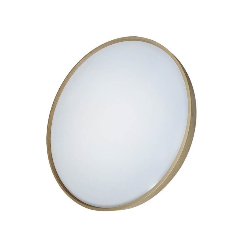 Dimmbare LED-Deckenleuchte DRINA LED/36W/230V 2700-6500K d 50 cm + Fernbedienung