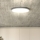 Dimmbare LED-Deckenleuchte ESTELA LED/36W/230V d 30 cm weiß + Fernbedienung