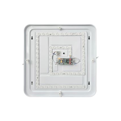 Dimmbare LED-Deckenleuchte FLORA LED/36W/230V 2700-6500K 43x43 cm + Fernbedienung