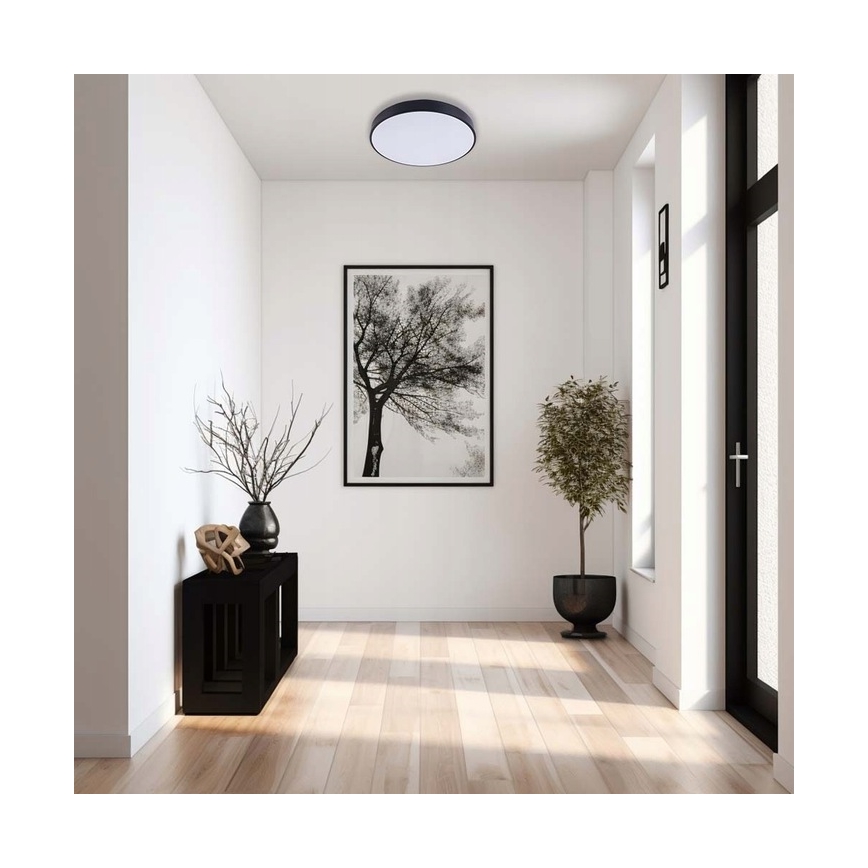 Dimmbare LED-Deckenleuchte LED/40W/230V 3000-6500K d 40 cm schwarz + Fernbedienung