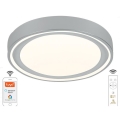 Dimmbare LED-Deckenleuchte LED/48W/230V 2700-6500K Wi-Fi Tuya + Fernbedienung