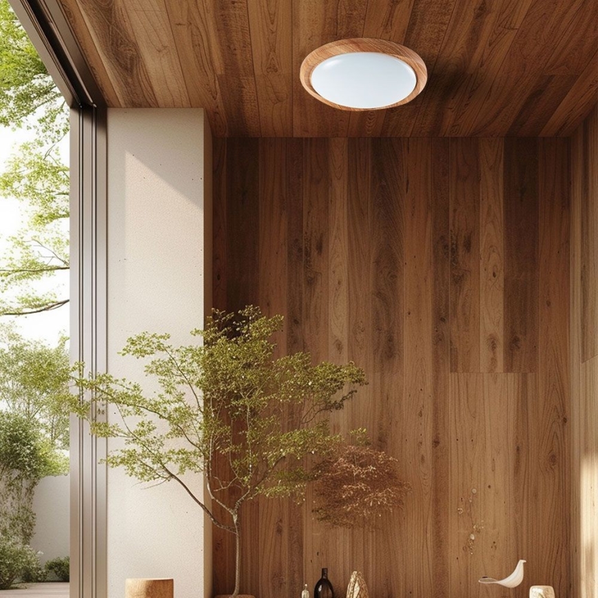 Dimmbare LED-Deckenleuchte LED/60W/230V 3000-6500K + Fernbedienung