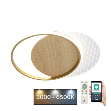 Dimmbare LED-Deckenleuchte LED/60W/230V 3000-6500K + Fernbedienung