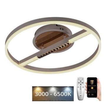 Dimmbare LED-Deckenleuchte LED/60W/230V 3000-6500K + Fernbedienung