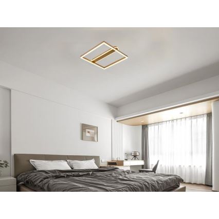 Dimmbare LED-Deckenleuchte LED/60W/230V 3000-6500K + Fernbedienung