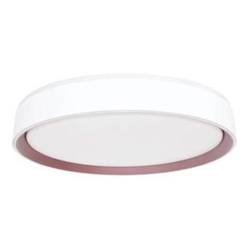 Dimmbare LED-Deckenleuchte mit Sprachsteuerung OPAL LED/48W/230V 2700-6500K weiß + Fernbedienung