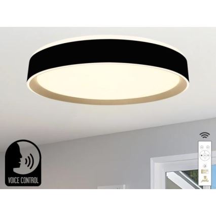 Dimmbare LED-Deckenleuchte mit Sprachsteuerung OPAL LED/48W/230V 2700-6500K schwarz + Fernbedienung