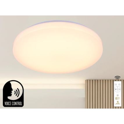 Dimmbare LED-Deckenleuchte mit Sprachsteuerung OPAL LED/48W/230V 2700-6500K weiß + Fernbedienung
