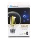 Dimmbare LED-Glühbirne FILAMENT G95 E27/6W/230V 2700-6500K Wi-Fi - Aigostar