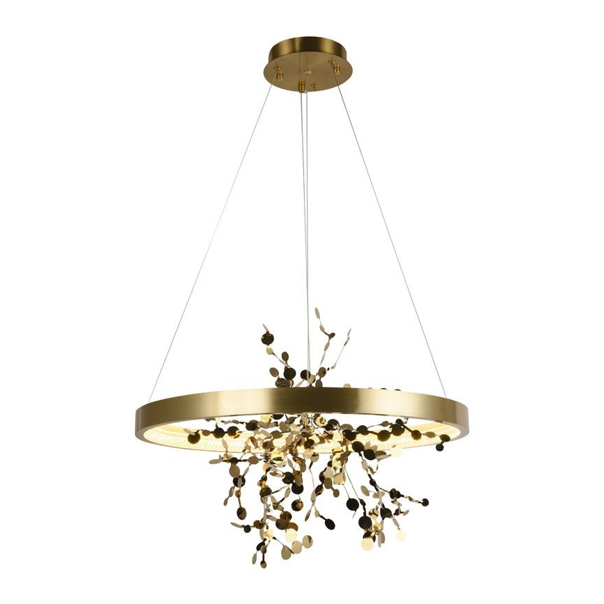 Dimmbare LED-Hängeleuchte an Schnur LED/40W/230V 3000-6500K golden + Fernbedienung