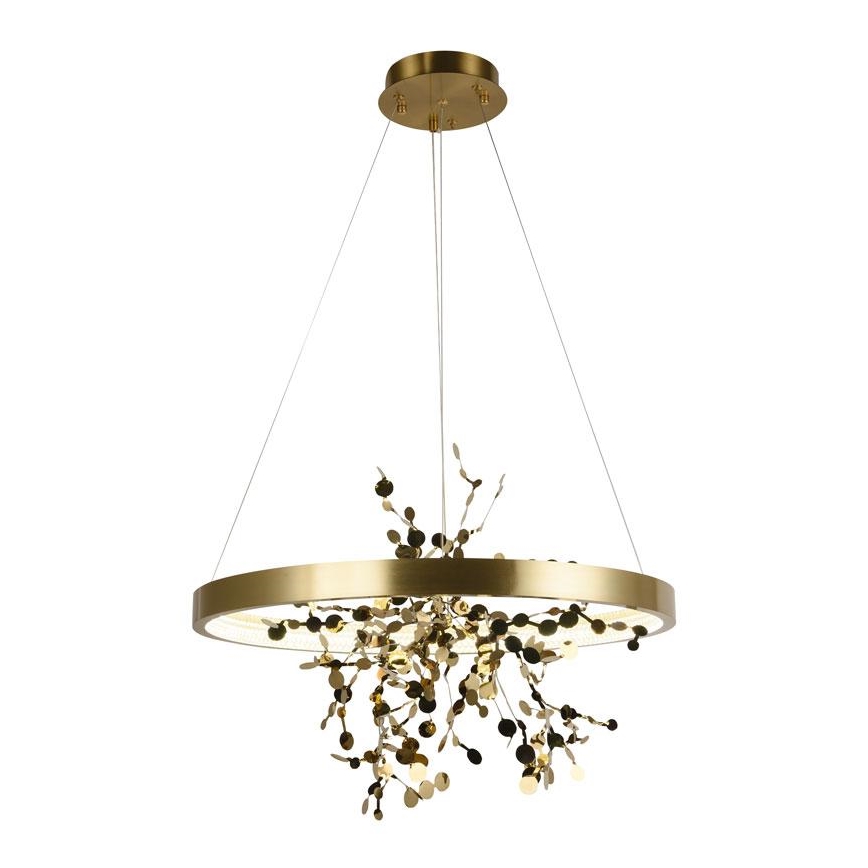 Dimmbare LED-Hängeleuchte an Schnur LED/40W/230V 3000-6500K golden + Fernbedienung