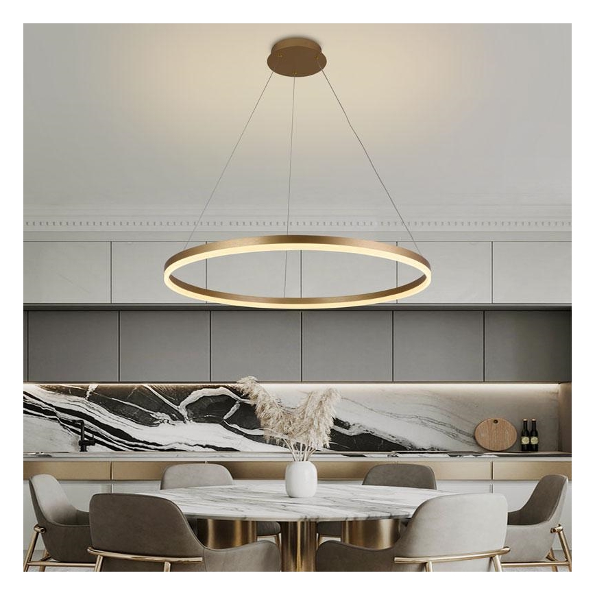 Dimmbare LED-Hängeleuchte an Schnur LED/55W/230V 3000-6500K + Fernbedienung